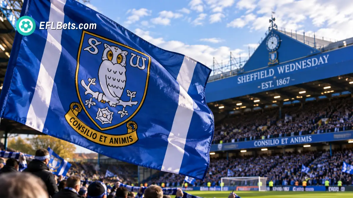 A Sheffield Wednesday flag, billowing in the breeze