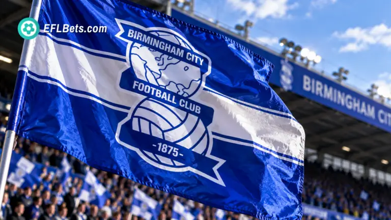 A Birmingham City flag, billowing in the breeze